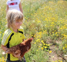 Schulkind hält Huhn auf Blühwiese